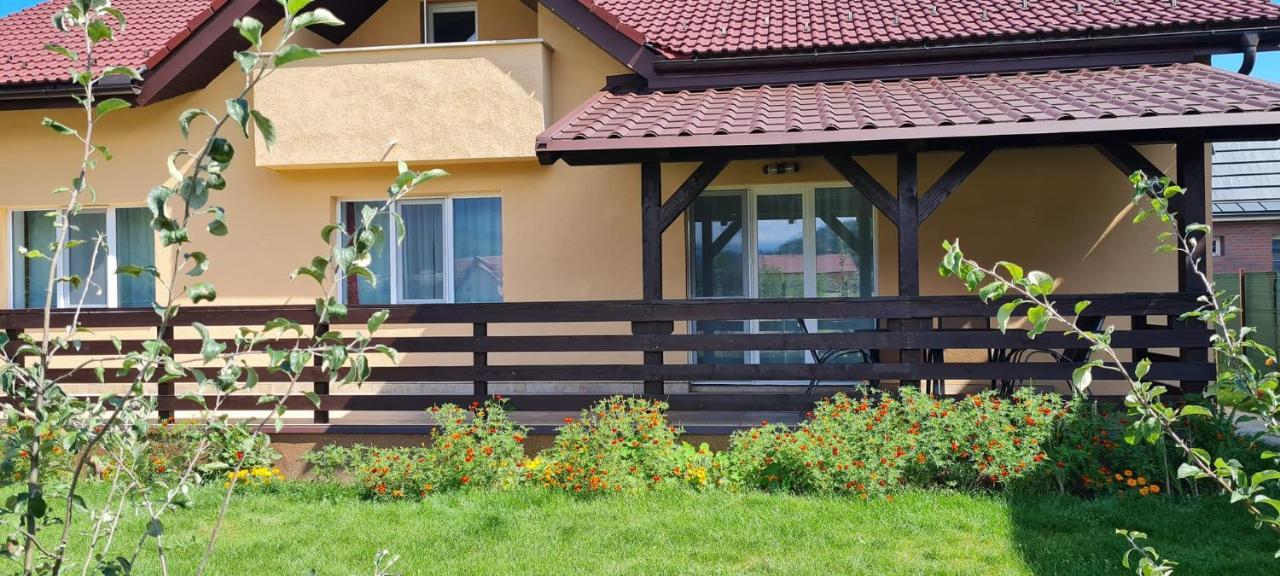 Carpen View Residence Săcele Exterior photo
