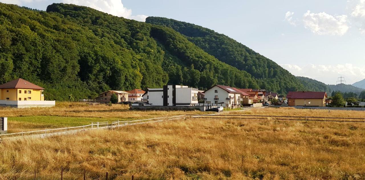 Carpen View Residence Săcele Exterior photo